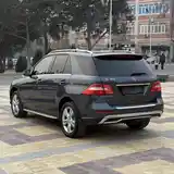 Mercedes-Benz ML class, 2014-4