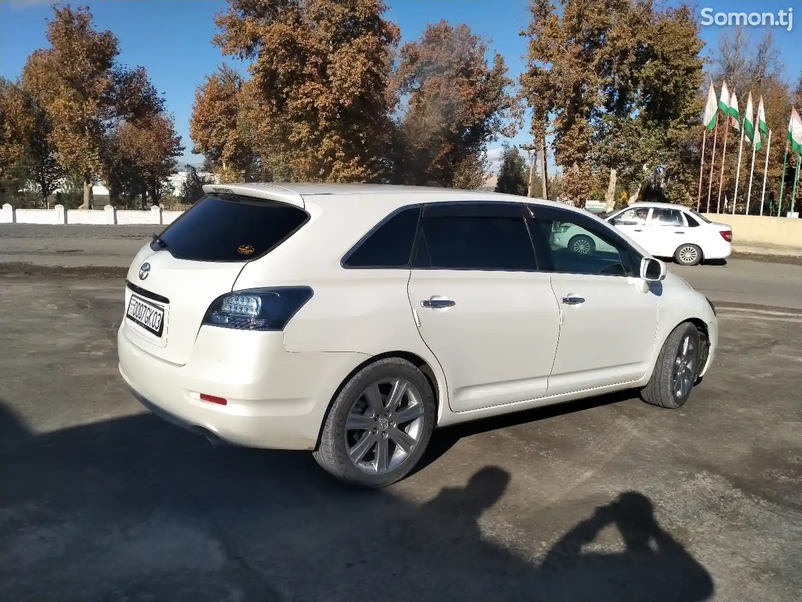 Toyota Mark X ZiO, 2010-4