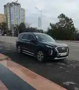 Hyundai Palisade, 2020-14