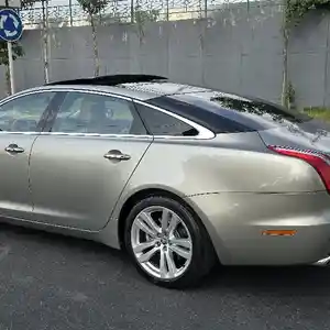 Jaguar, 2011