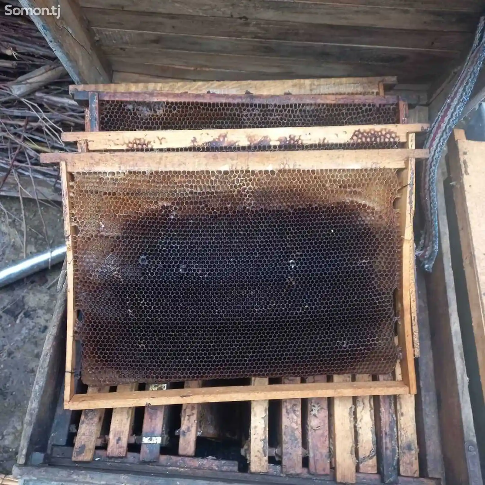 Пчелиная рамка-2