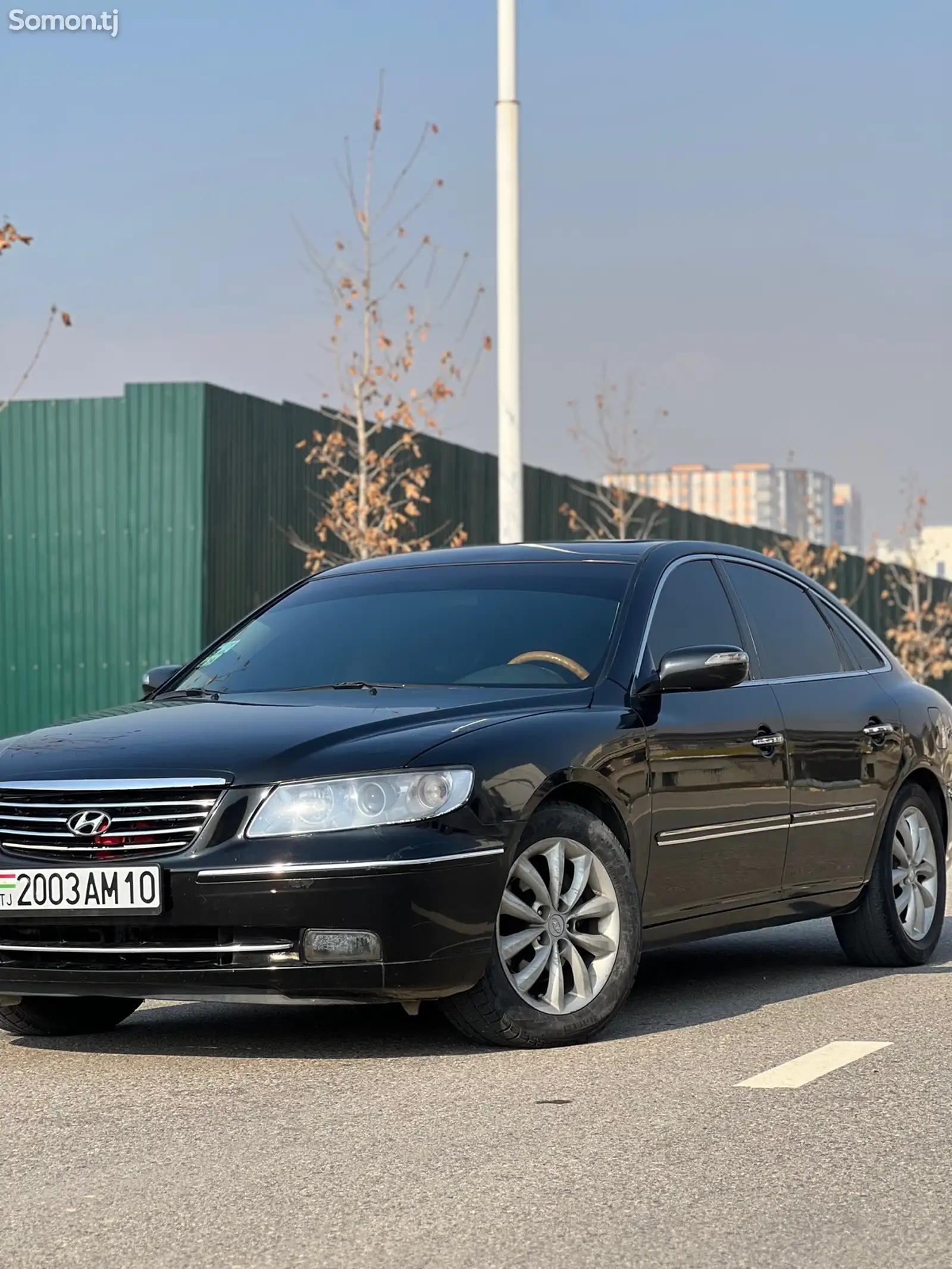 Hyundai Grandeur, 2006-1