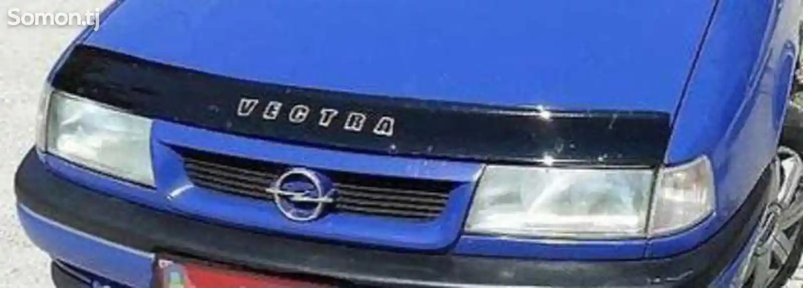 Мухобойка Opel Vectra A