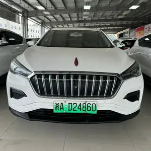 Hongqi E-HS3, 2019