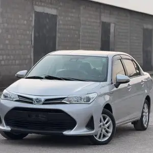 Toyota Axio, 2020