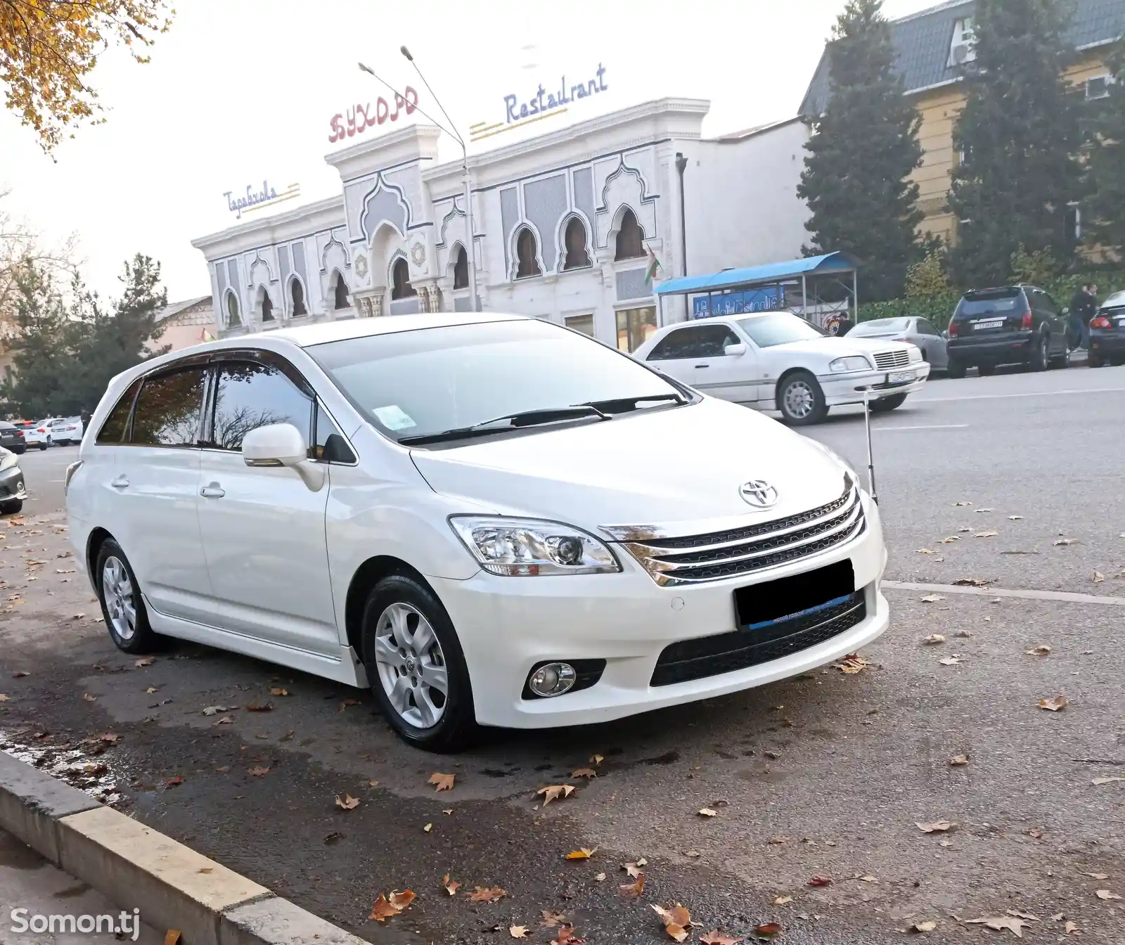 Toyota Mark X ZiO, 2010-1