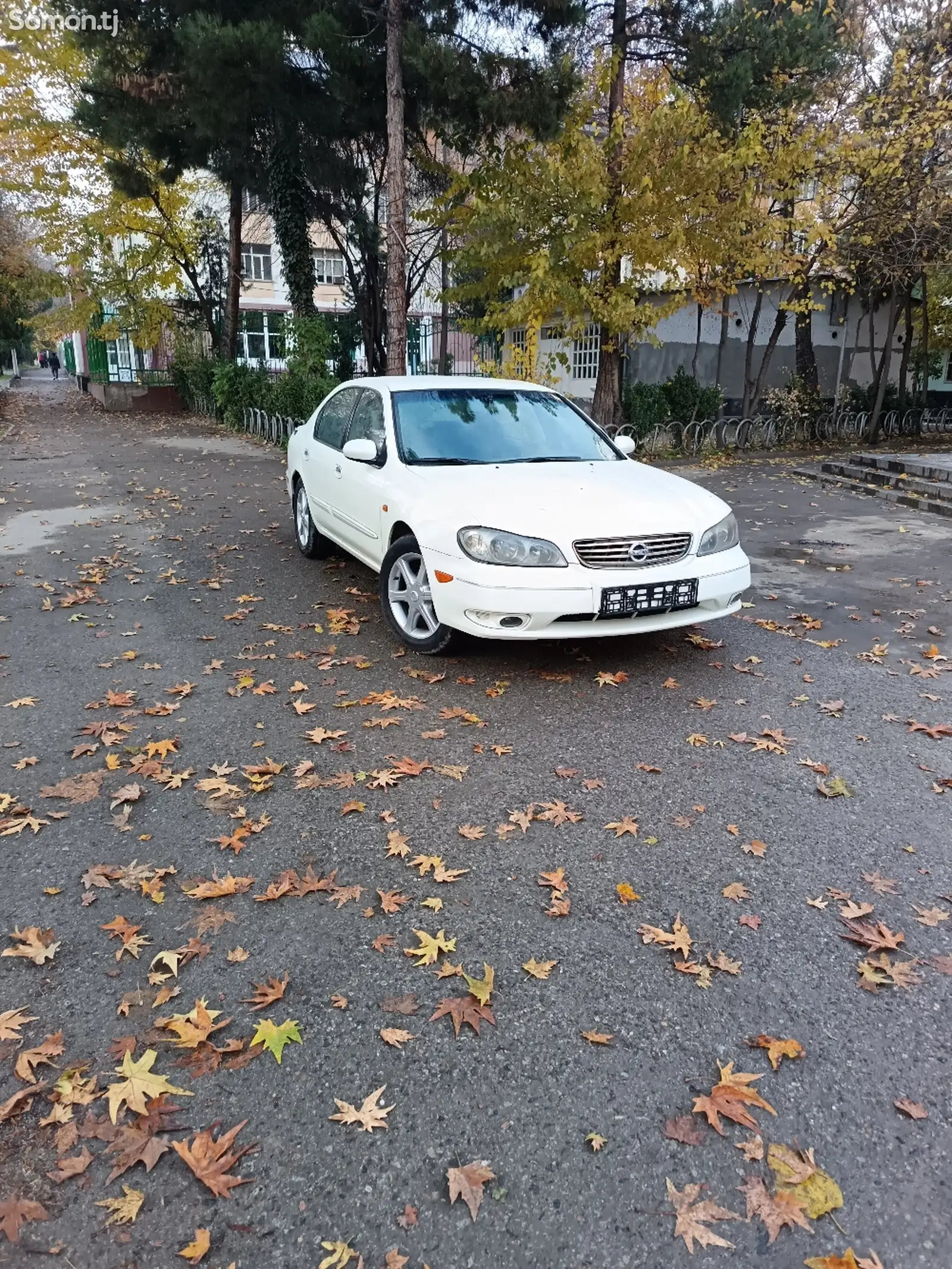 Nissan Maxima, 2003-1