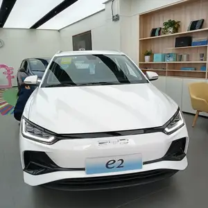 BYD E2, 2024