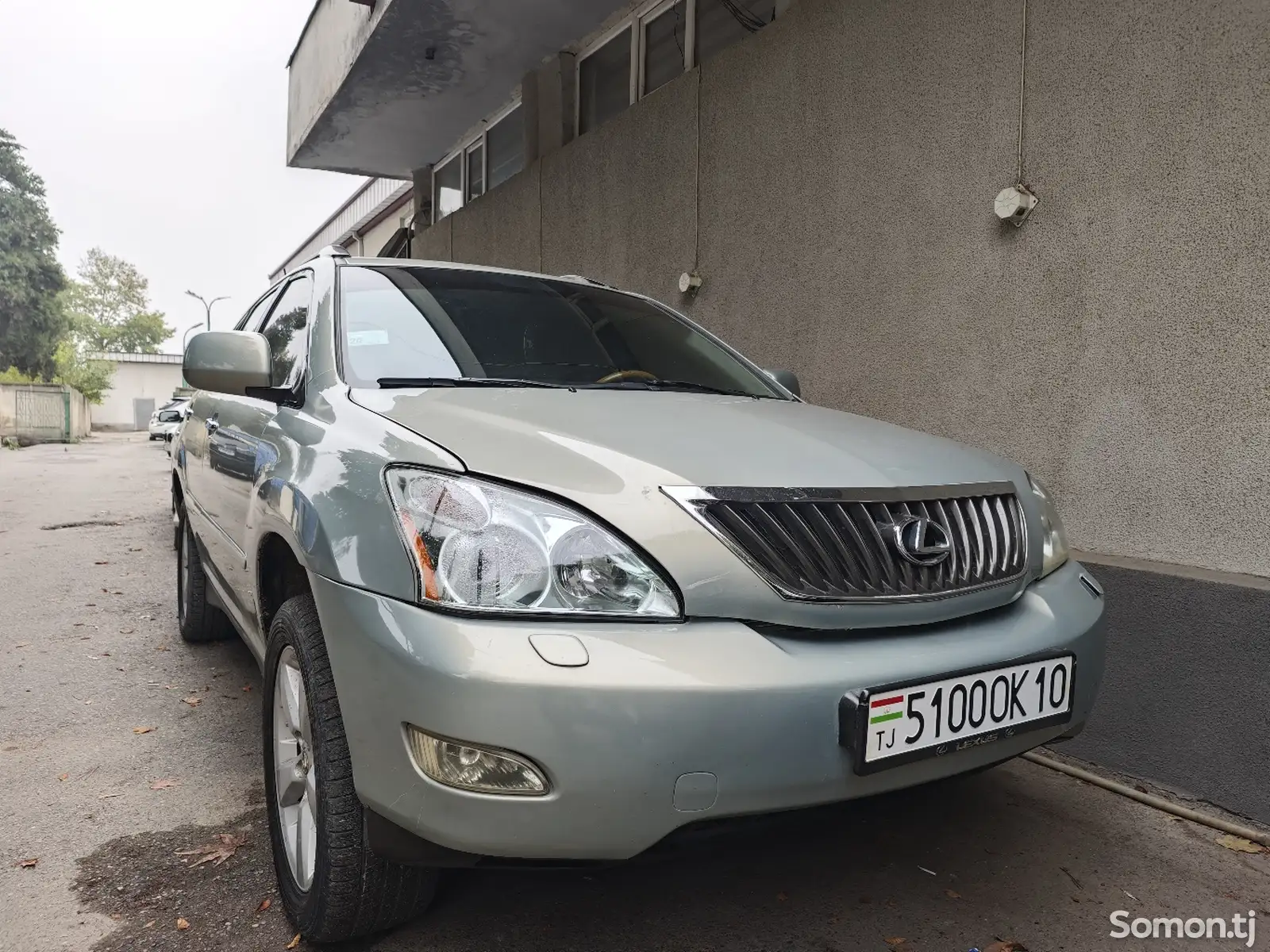 Lexus RX series, 2008-9