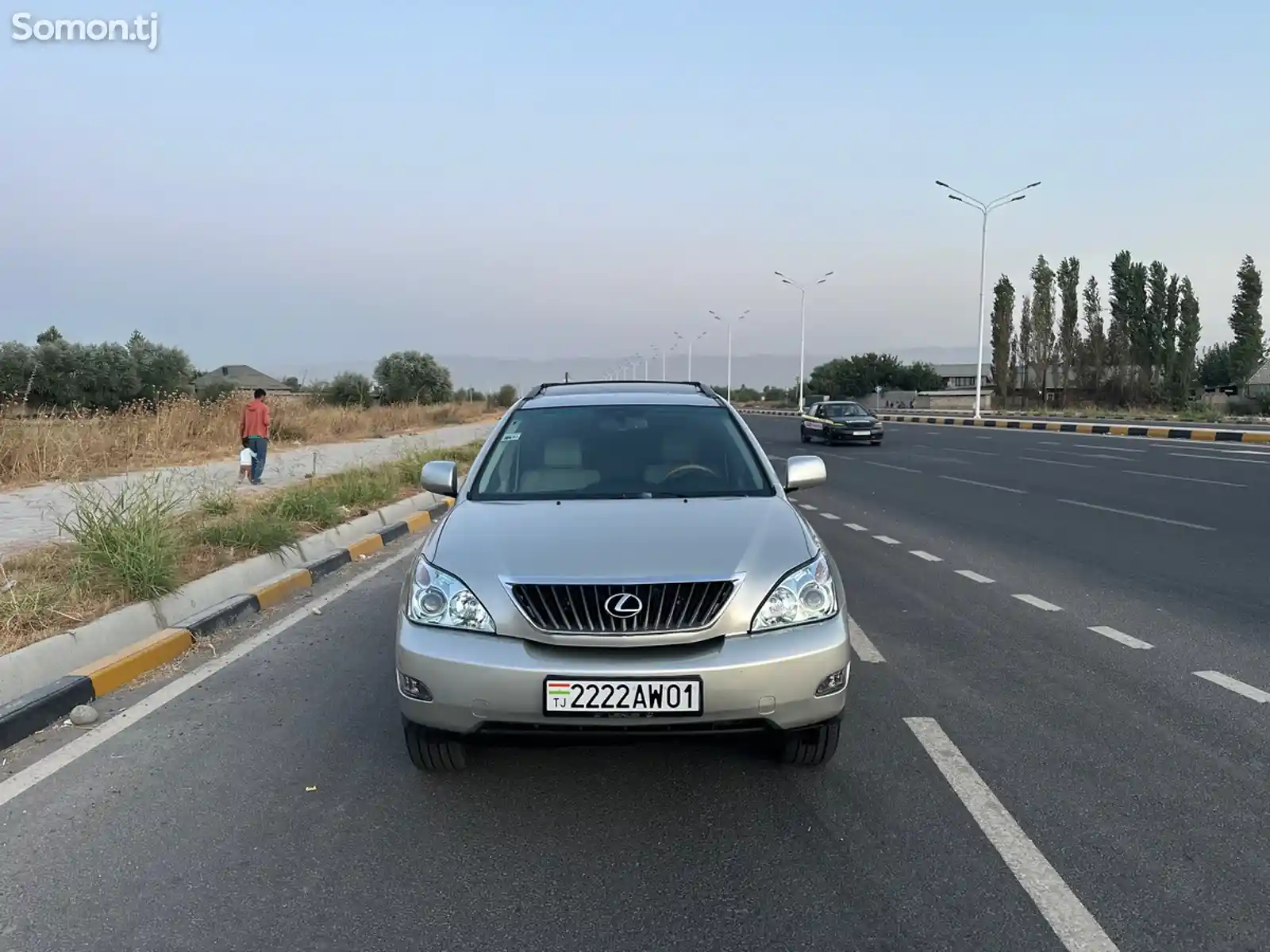 Lexus RX series, 2007-1