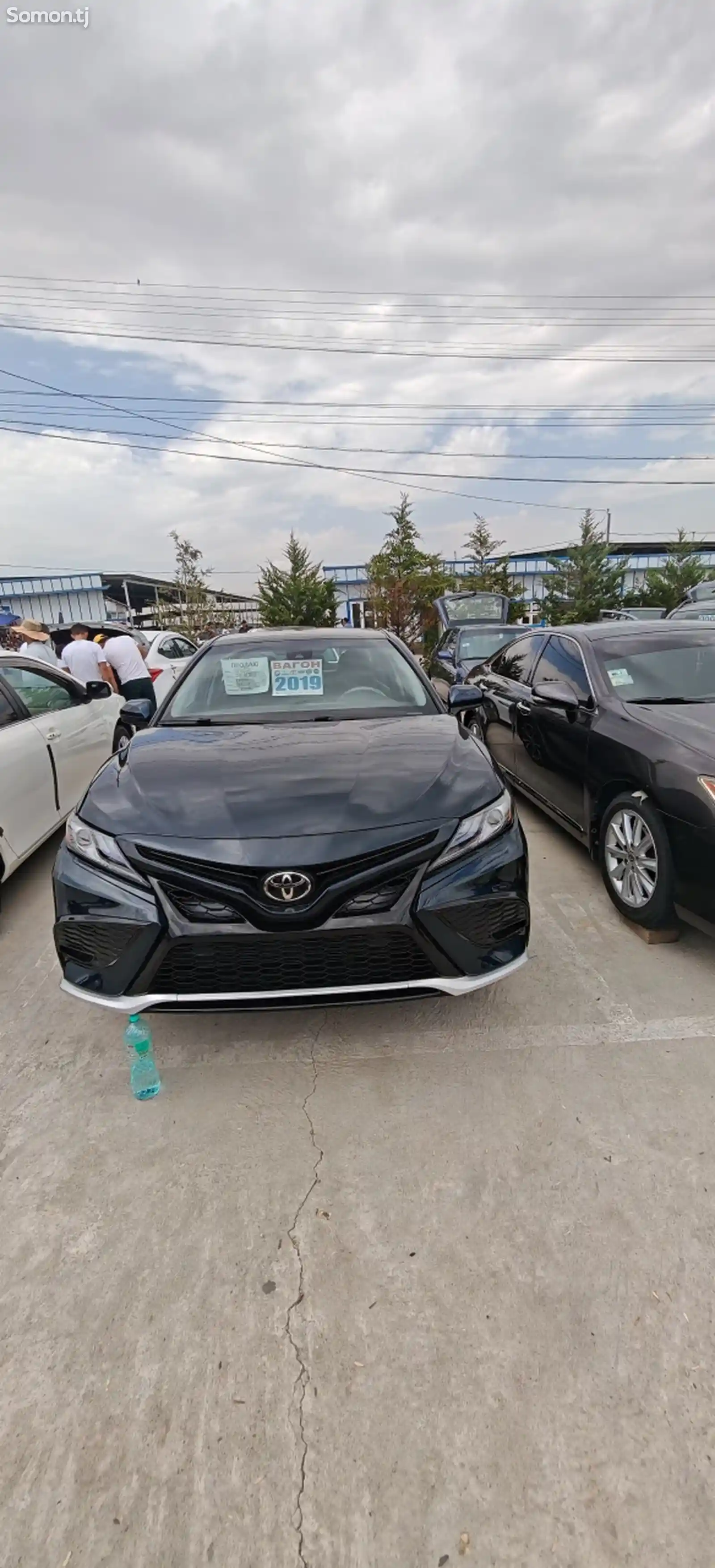 Toyota Camry, 2019-1