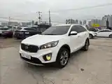 Kia Sorento, 2014-4