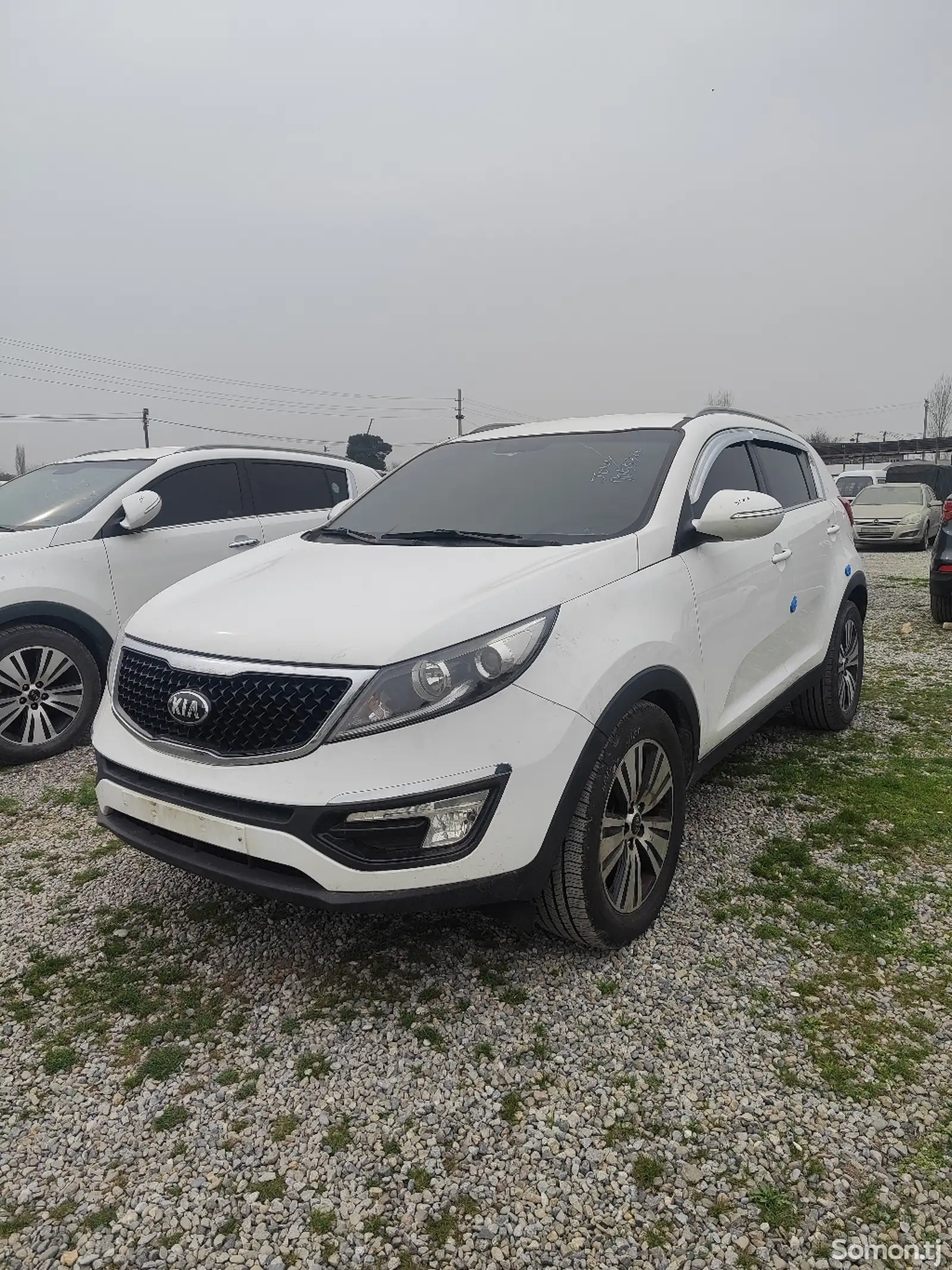 Kia Sportage, 2014-1