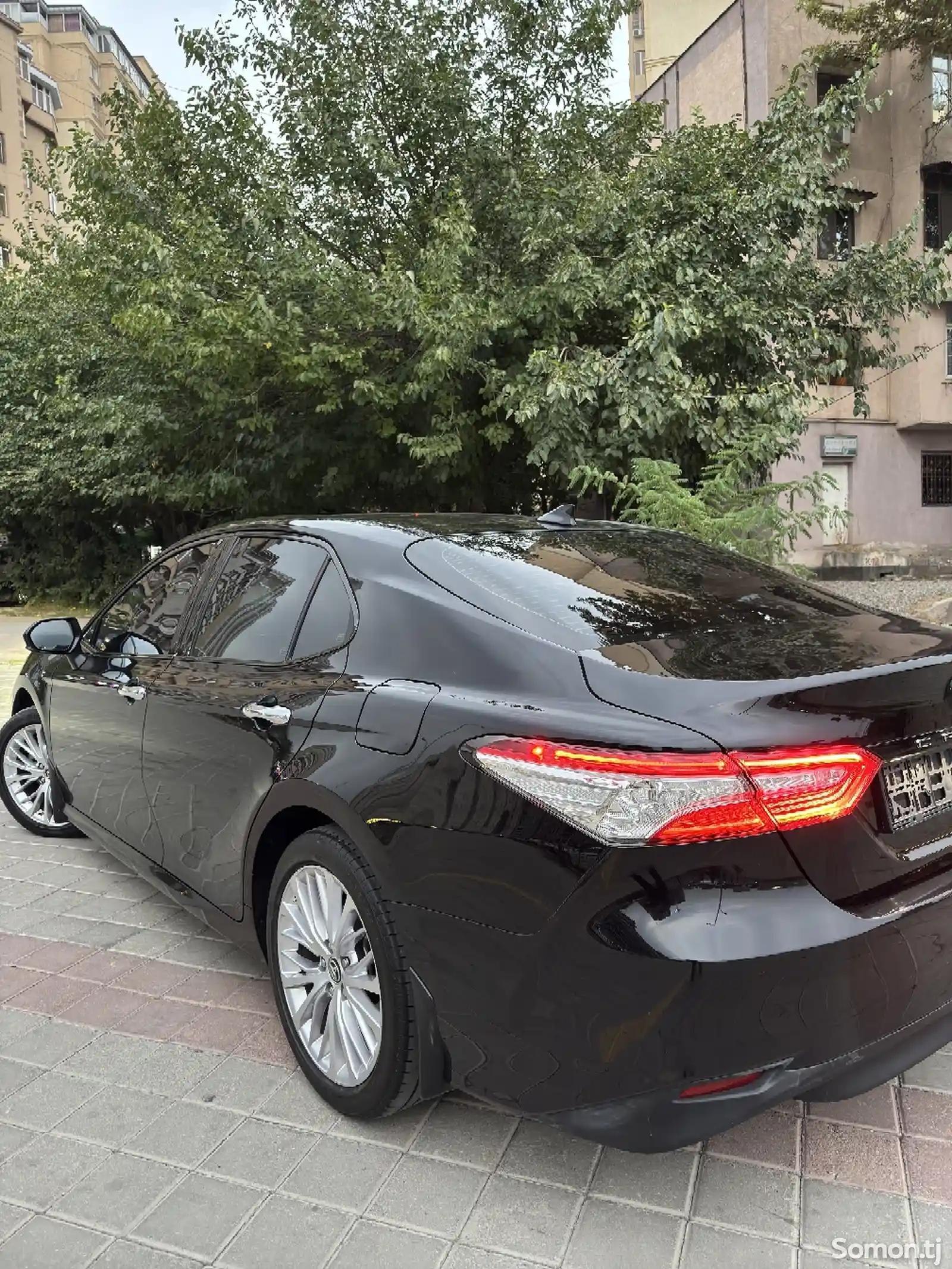 Toyota Camry, 2019-5