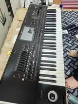 Синтезатор Korg pa4x 61-7