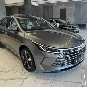 BYD Chazor, 2024