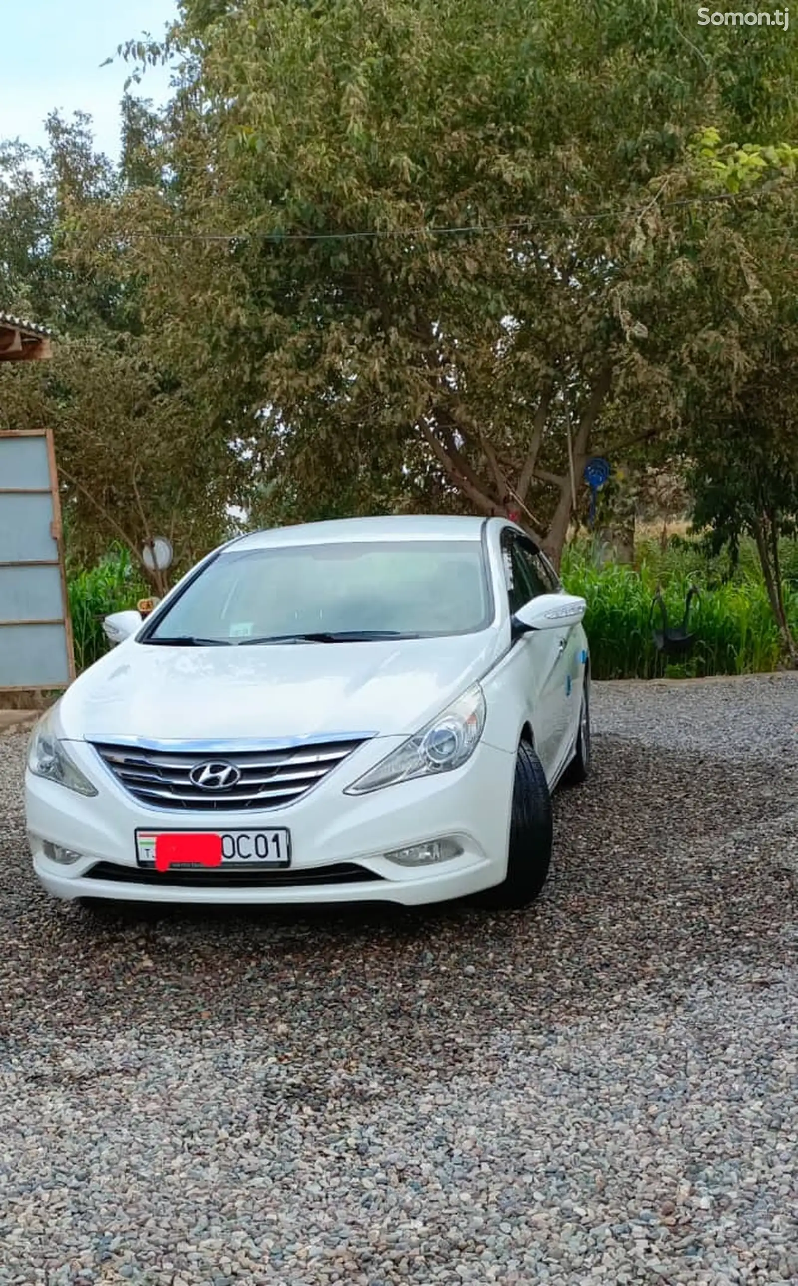 Hyundai Sonata, 2010-1