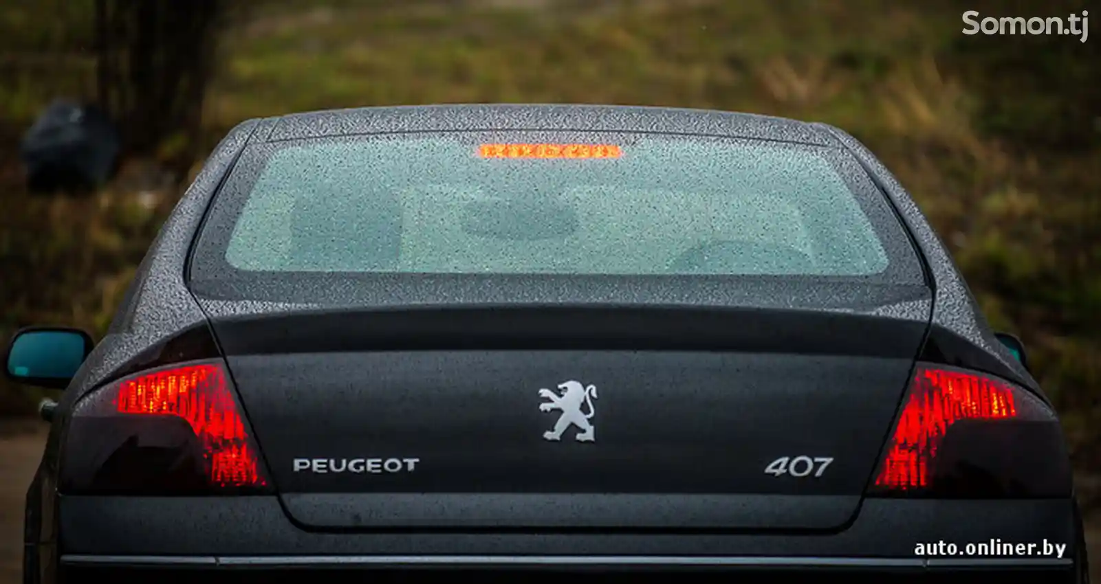 Peugeot 407, 2007-2