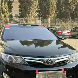 Лобовое стекло фиолетовый на Toyota Camry 3