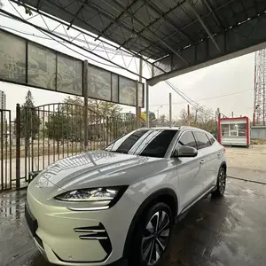 BYD Song Plus Flagship, 2024