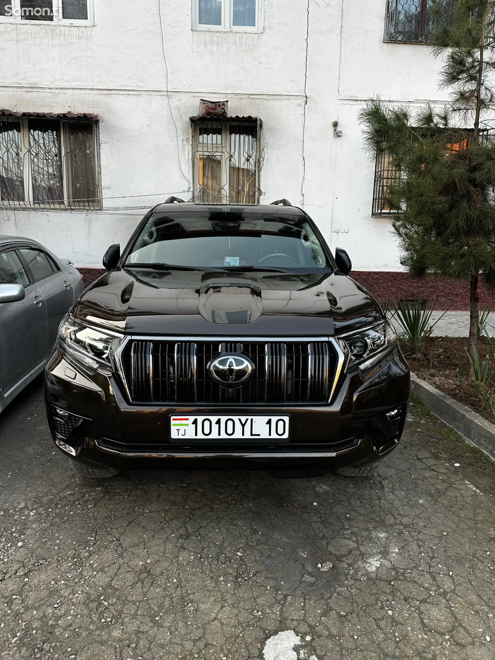 Toyota Land Cruiser Prado, 2022-1