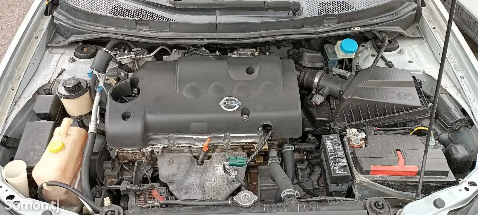 Nissan Primera, 2004-7