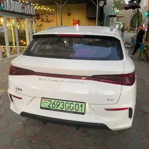 BYD E2, 2024