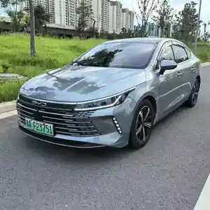 BYD Другие модели, 2023