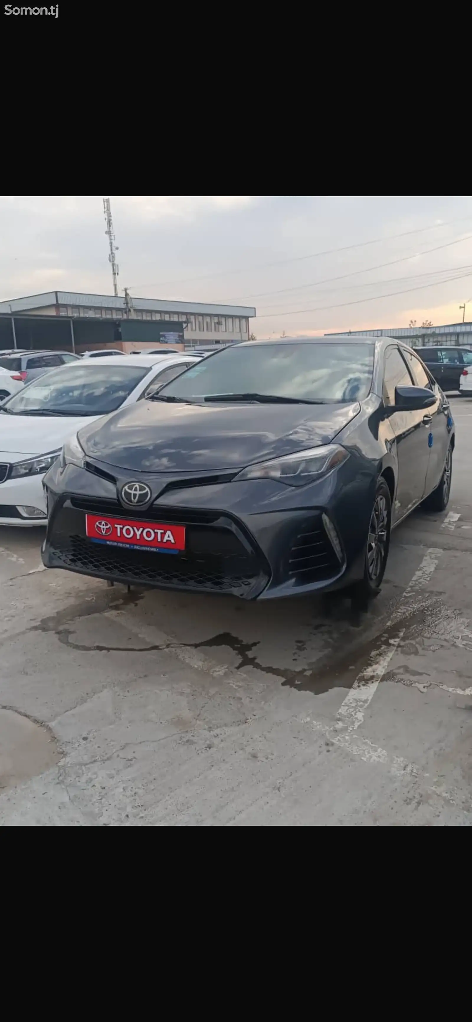 Toyota Corolla, 2019-1