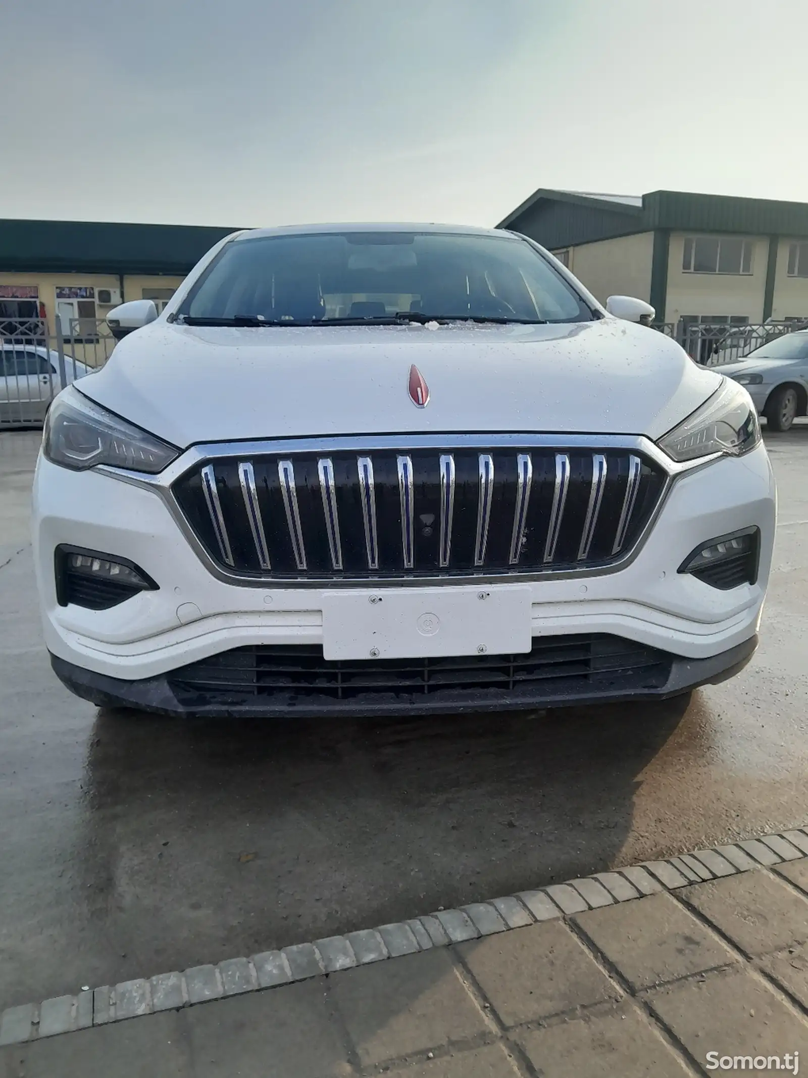 Hongqi E-HS3, 2019-1