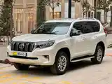 Toyota Land Cruiser Prado, 2010-7