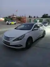 Hyundai Sonata, 2011-7