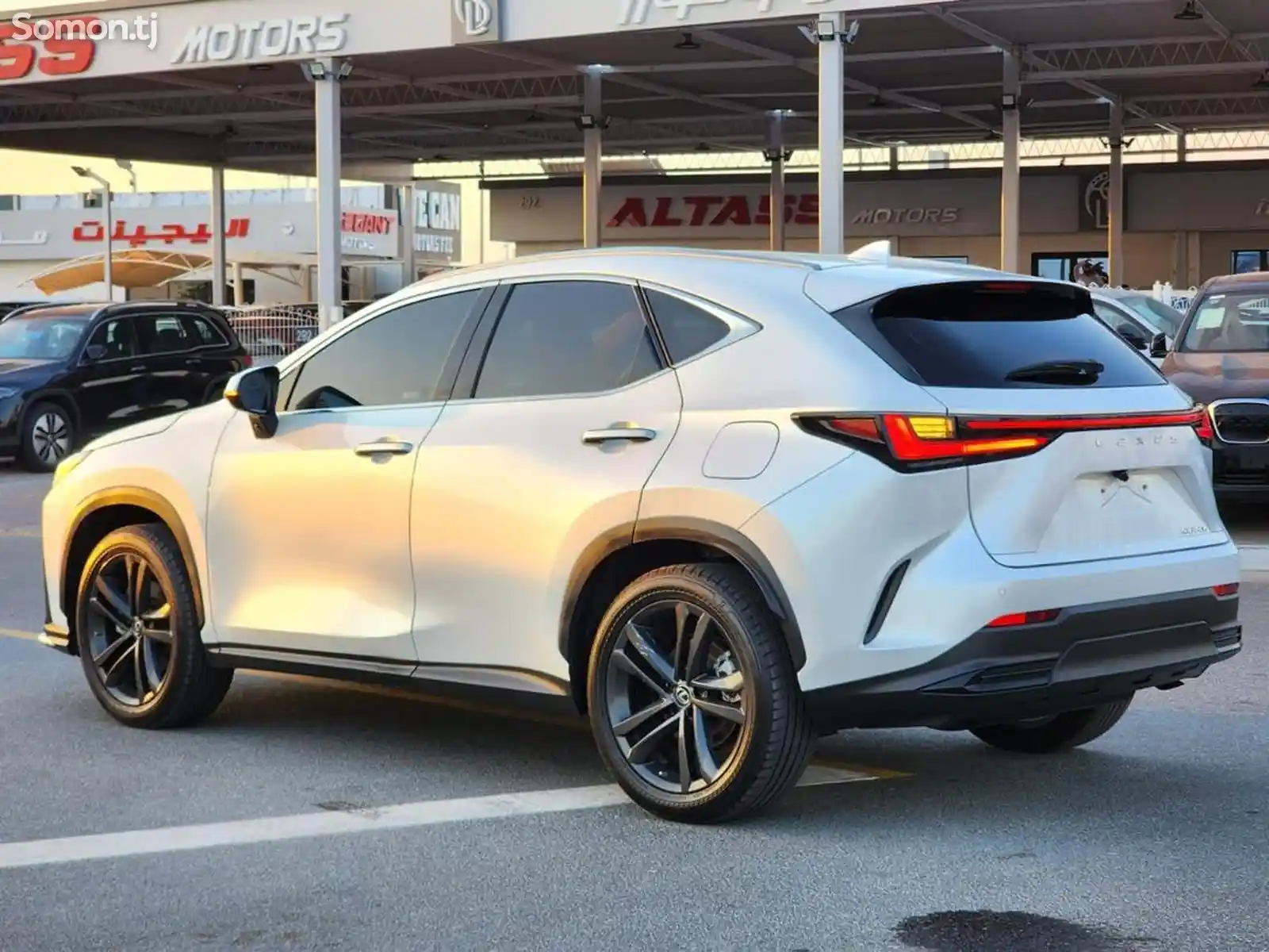 Lexus NX series, 2023-6