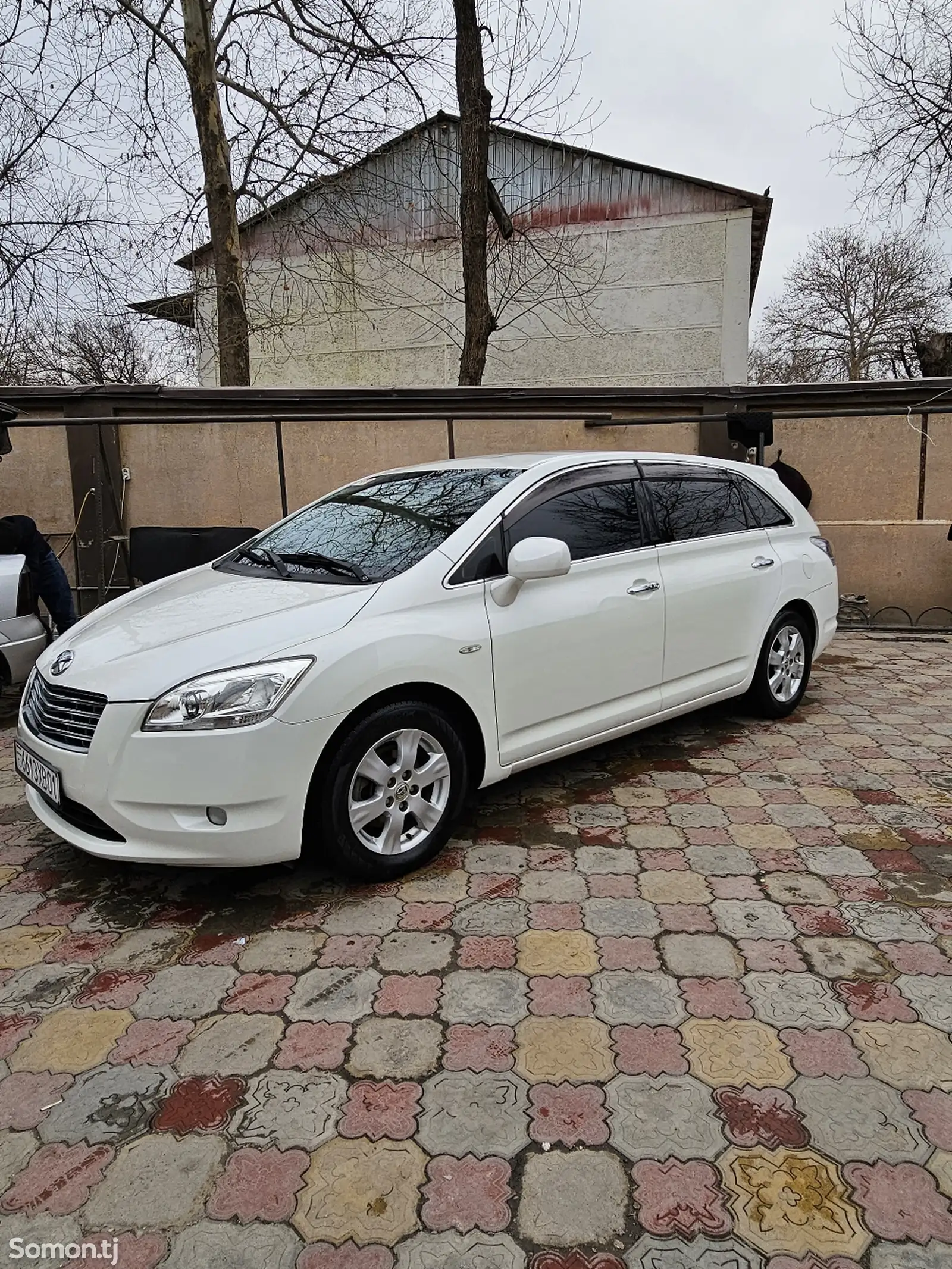 Toyota Mark X ZiO, 2007-1