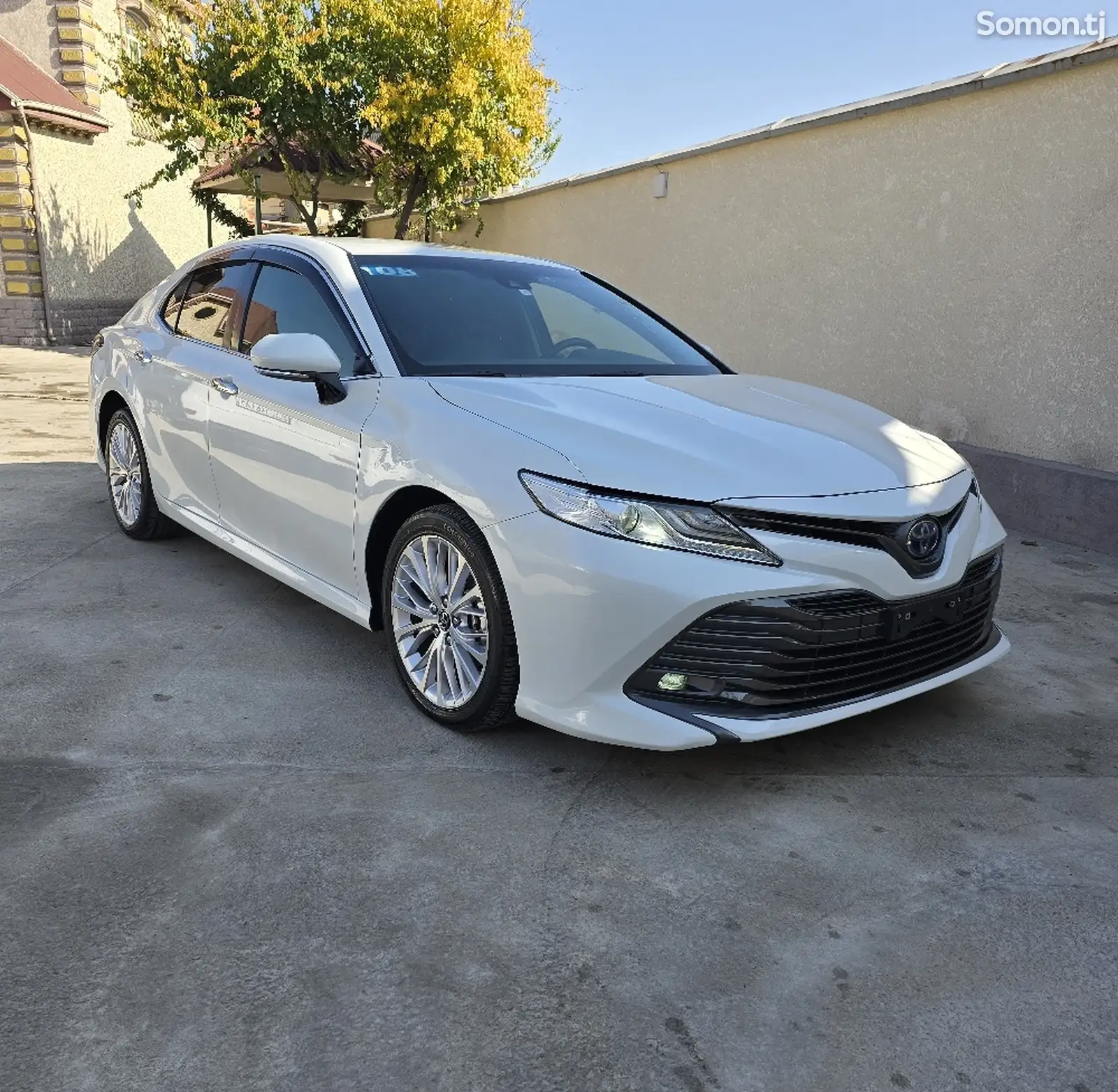 Toyota Camry, 2019-1