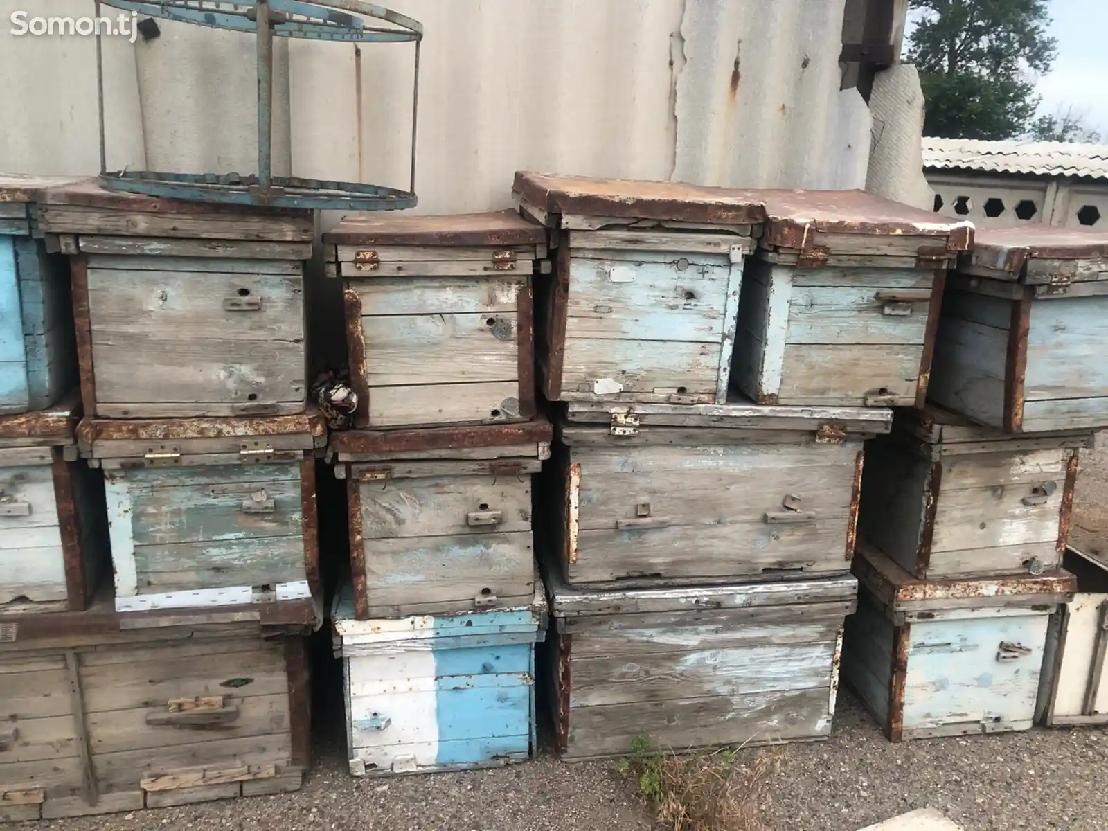 Ящик для пчёл-5