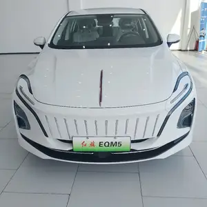 Hongqi E-QM5, 2024