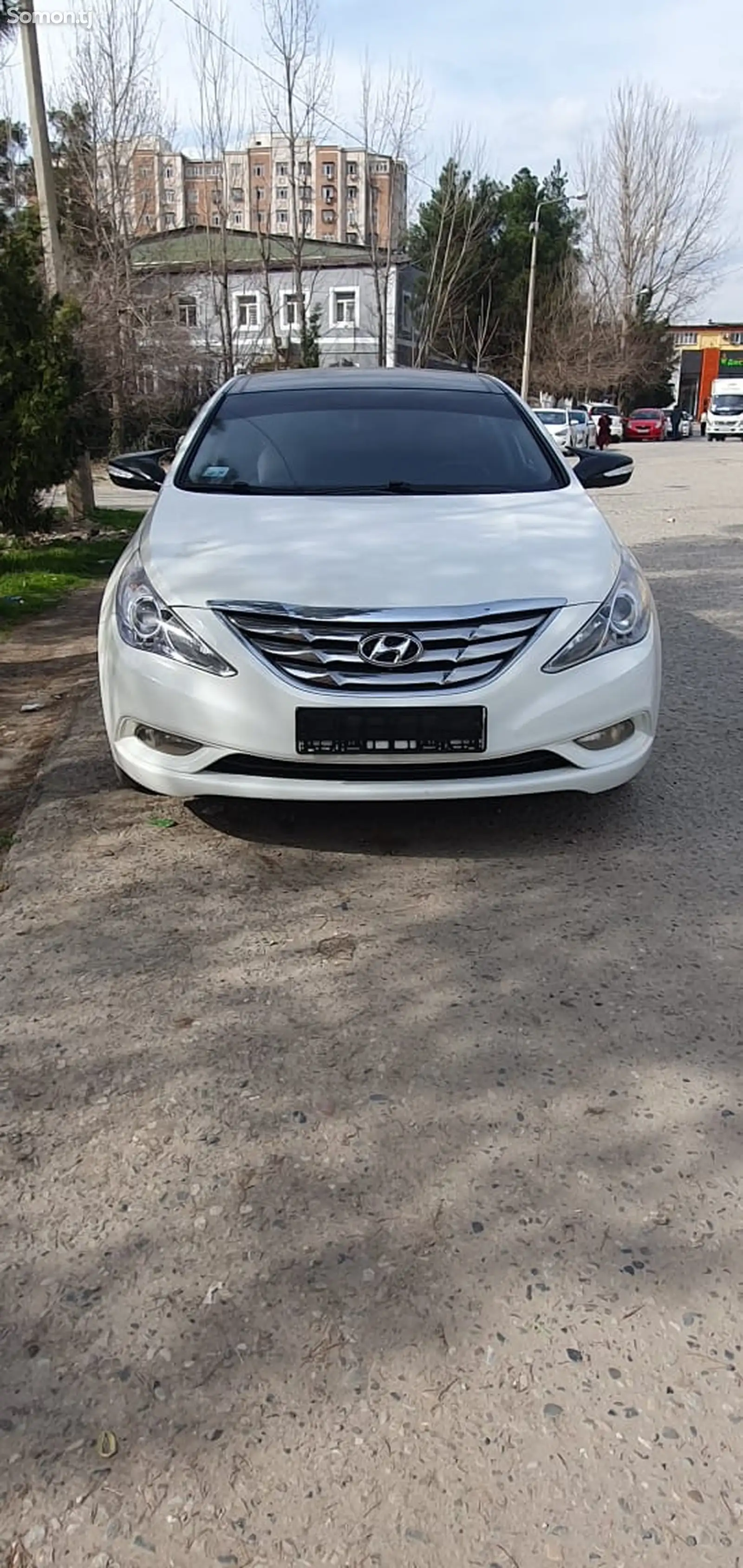 Hyundai Sonata, 2010-1