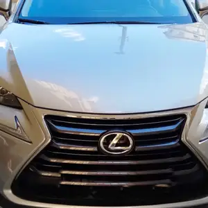 Lexus NX series, 2016