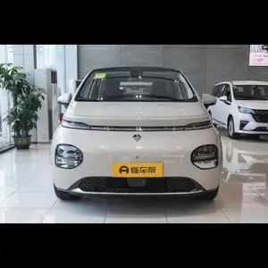 Wuling Bingo plus, 2023