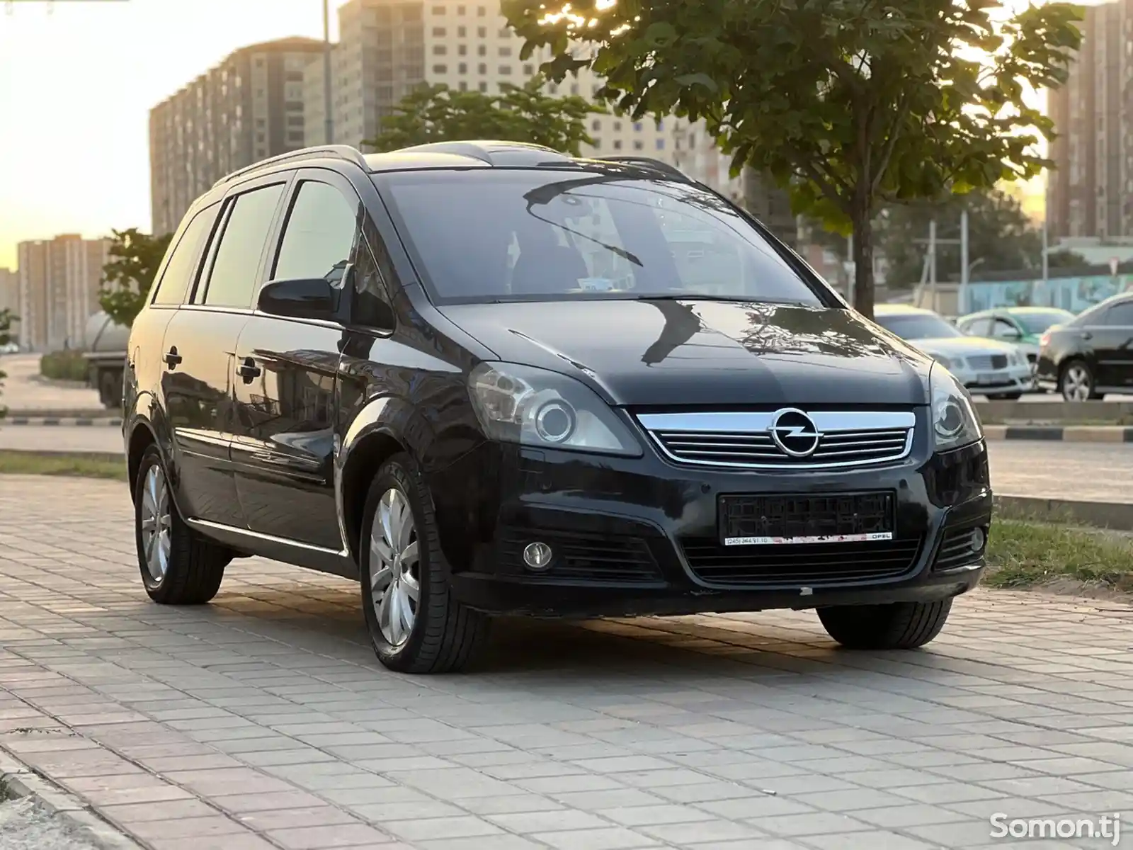 Opel Zafira, 2007-3