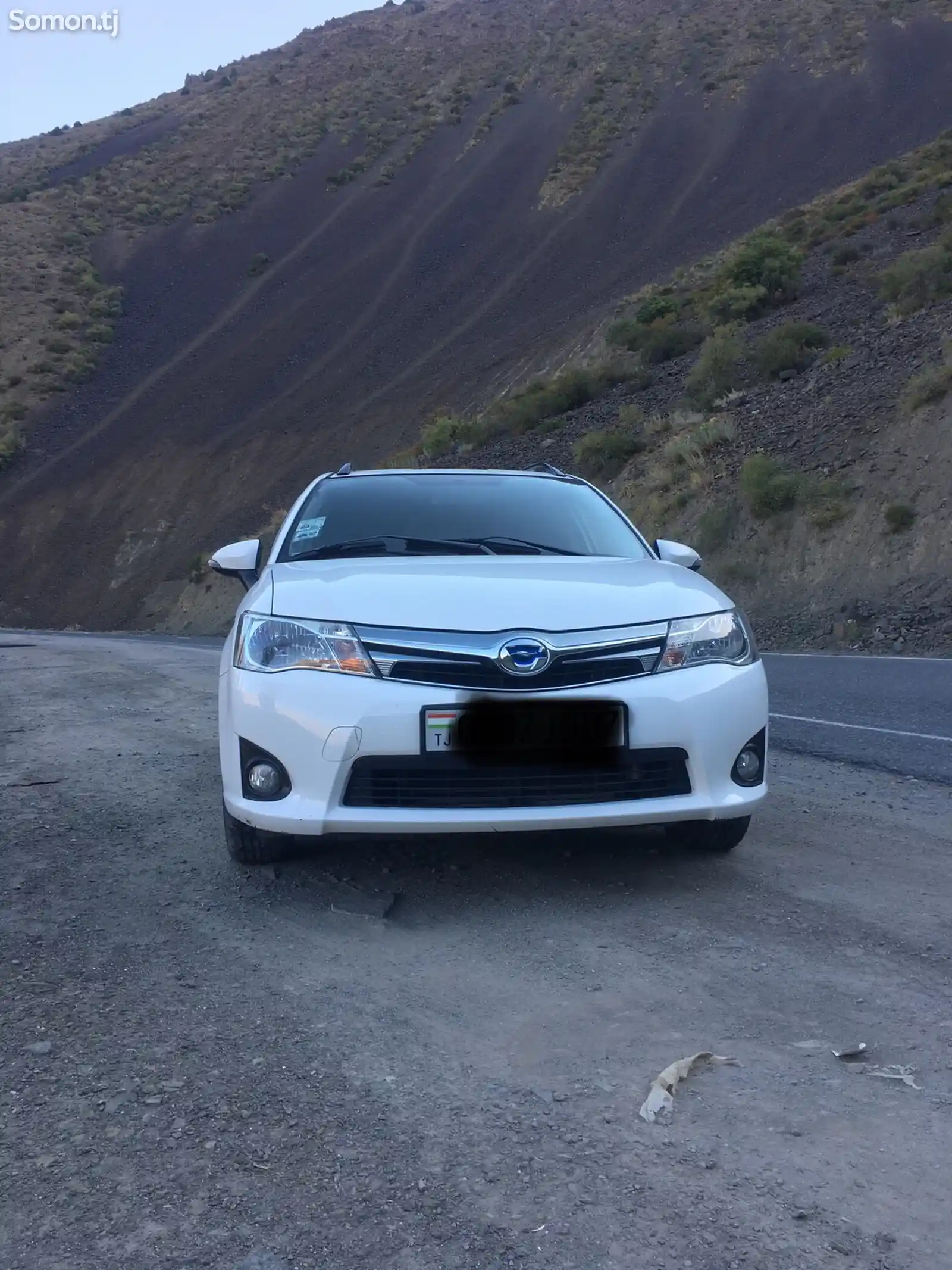 Toyota Fielder, 2013-1