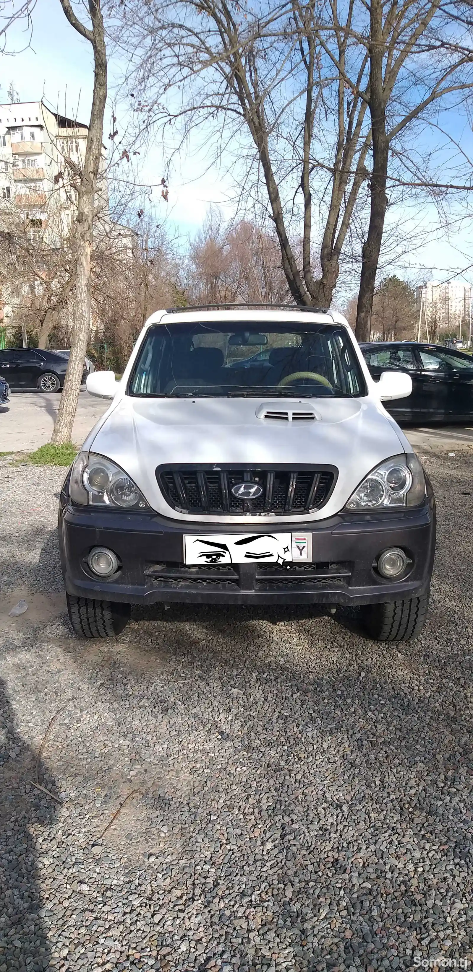 Hyundai Terracan, 2003-2