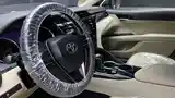 Toyota Camry, 2018-9