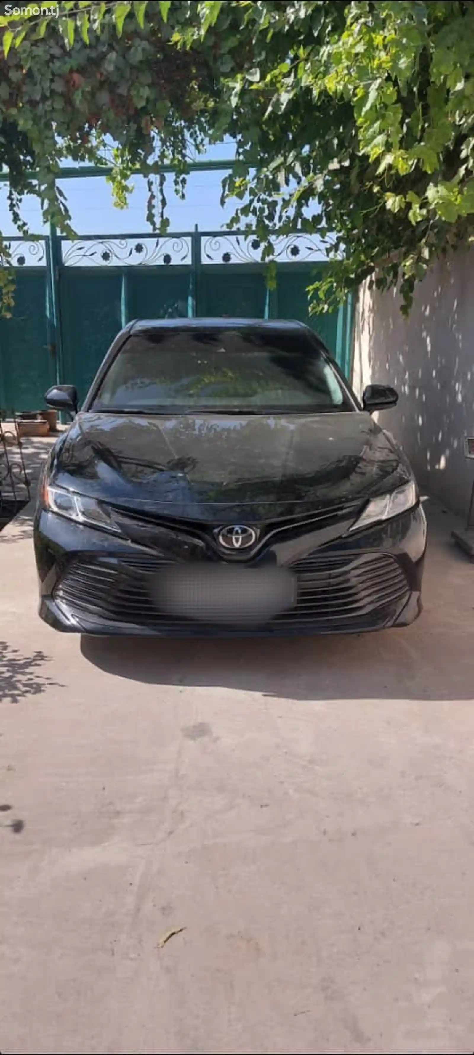 Toyota Camry, 2019-5