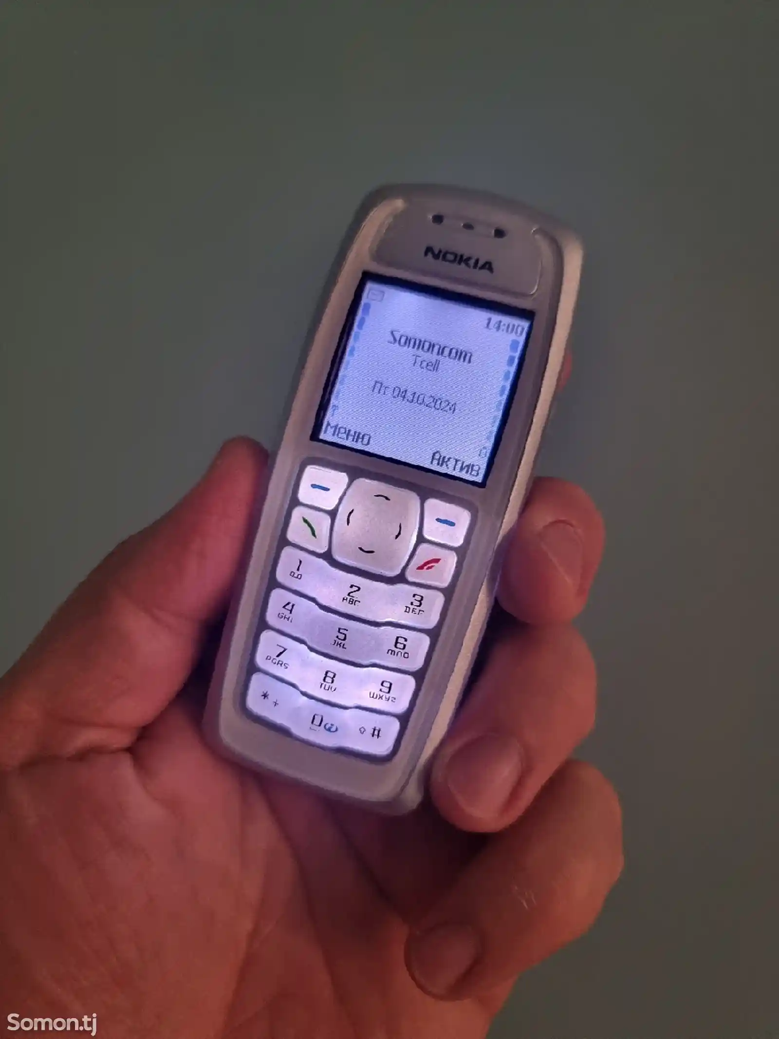 Nokia 3100-2