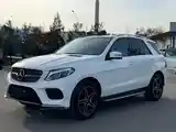 Mercedes-Benz GLE class, 2016-3