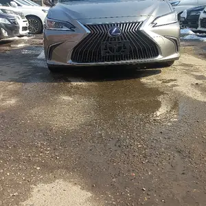 Lexus HS series, 2019