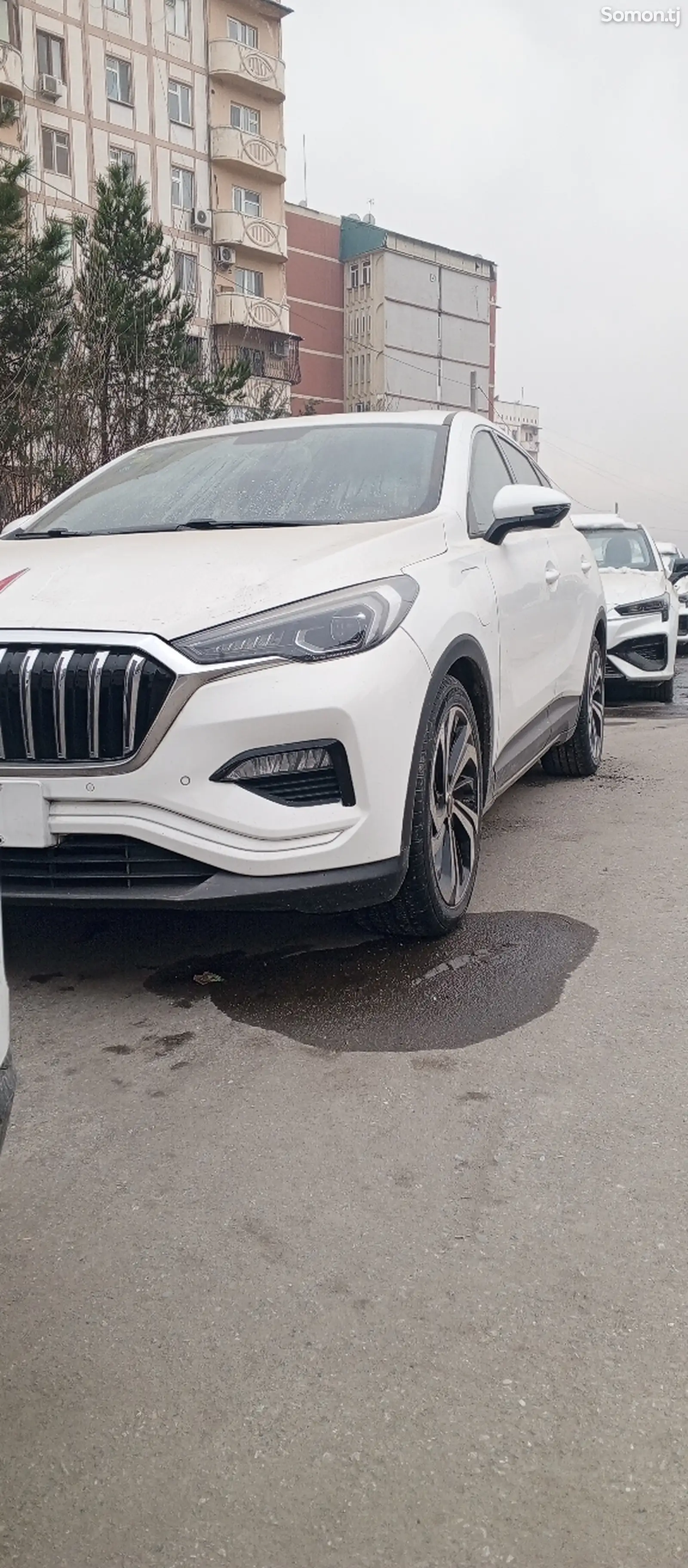 Hongqi E-HS3, 2019-1