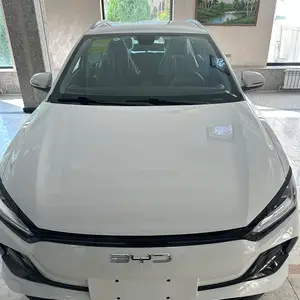 BYD E2, 2024